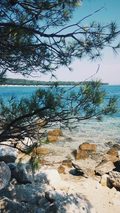 Istria Apartment