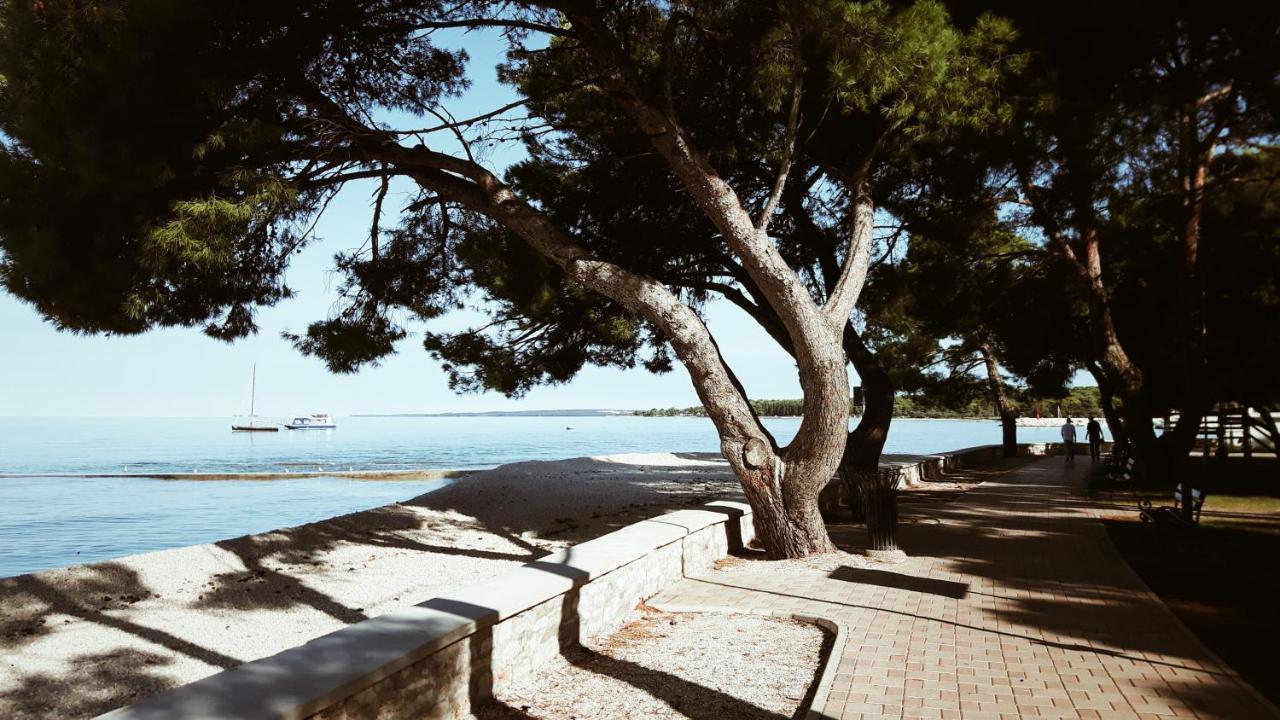 Apartment Istria